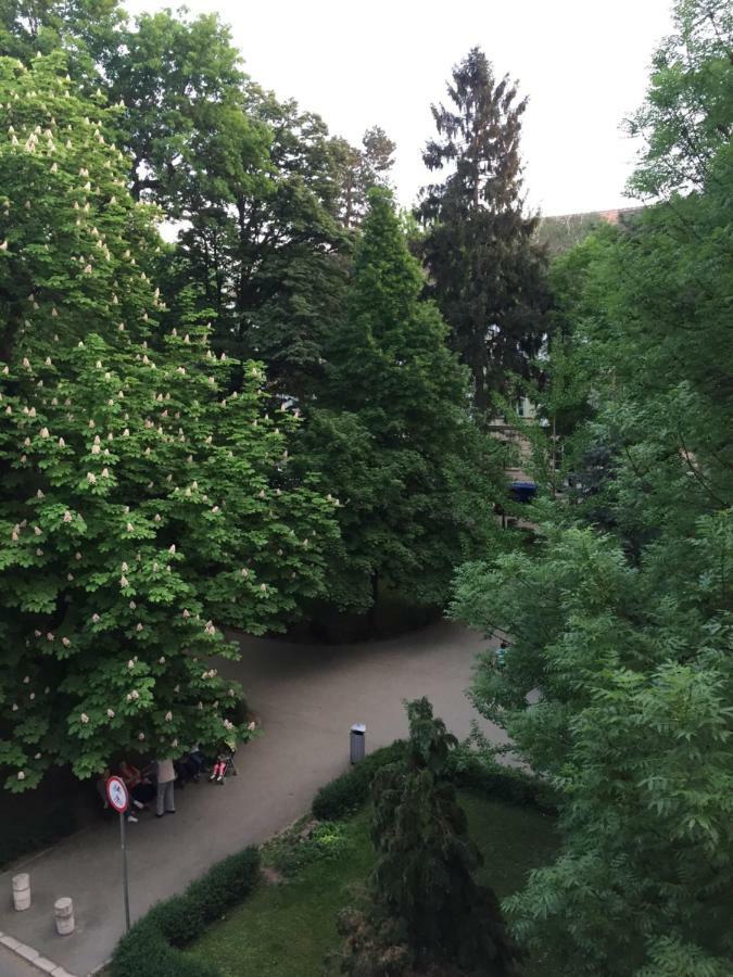 Alt Apartament Apartman Nagyszeben Kültér fotó